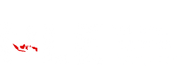NLE Logo